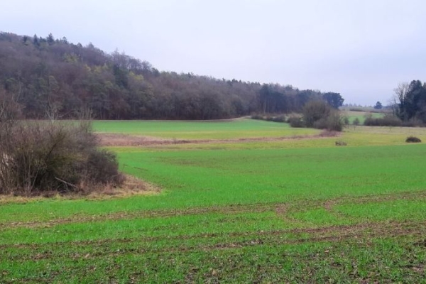 von Beringen nach Schaffhausen-Breite