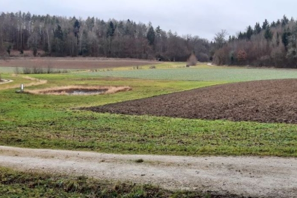 Von Herblingen nach Buchthalen