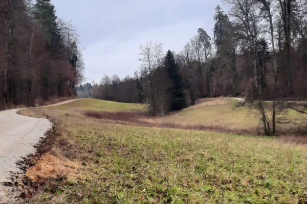 Von Herblingen nach Buchthalen