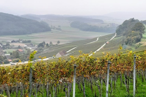 Von Wilchingen nach Osterfingen