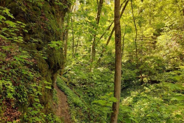 Wandern im Reiat - Thayngen - Lohn - Opfertshofen