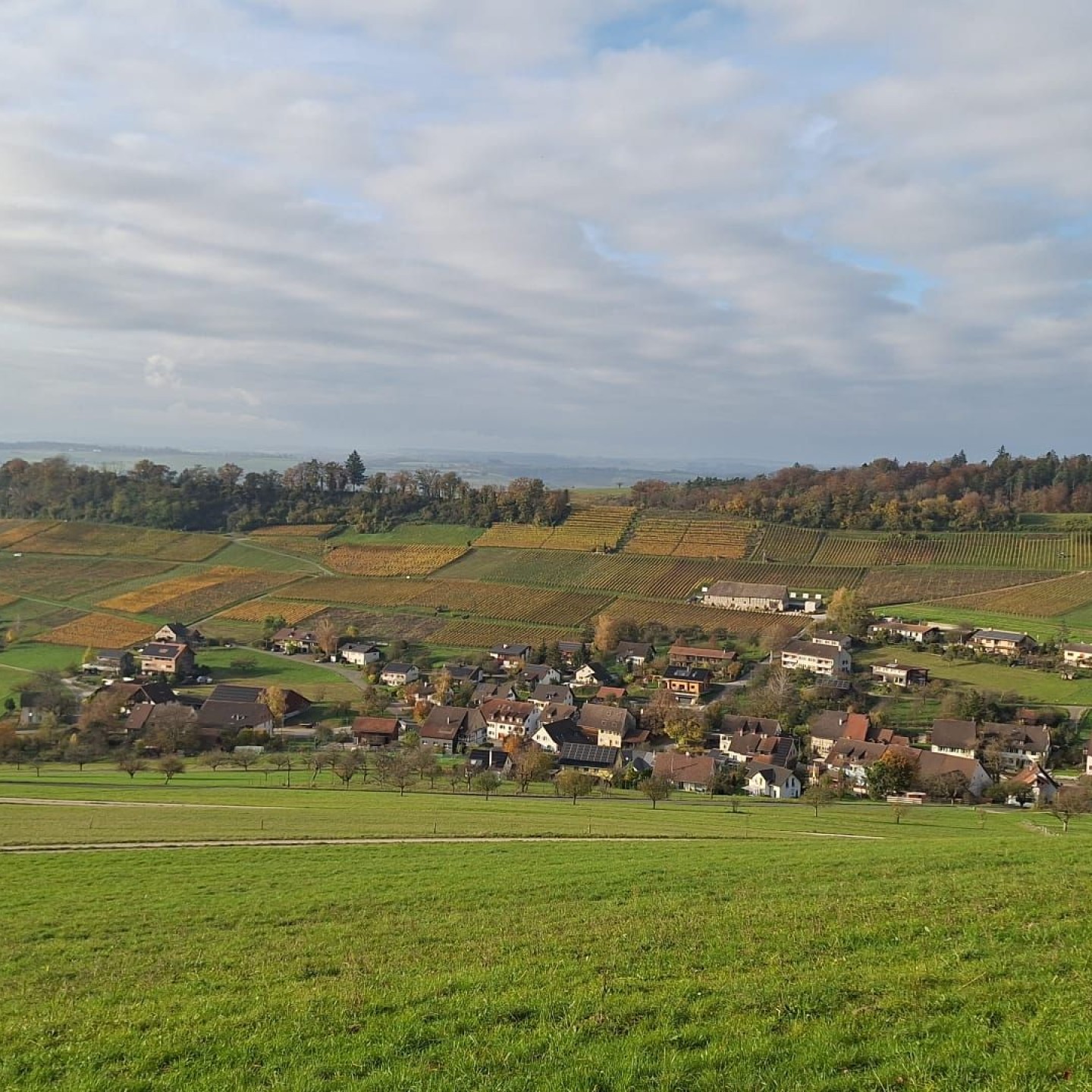 Wilchingen-Osterfingen2