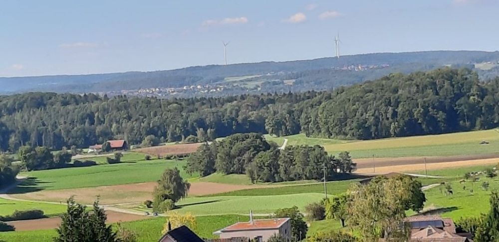 Aussicht vom Buck Dörflingen