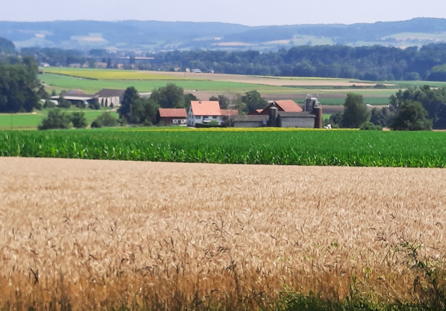 Aussicht Richtung Ramsen