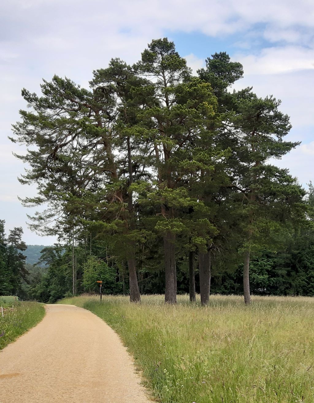 Typische Randenlandschaft